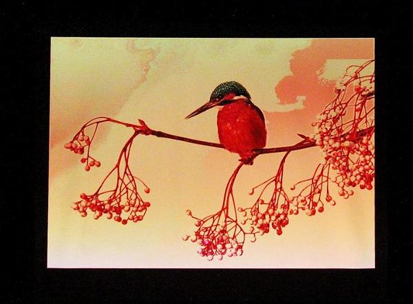 9. Setting up a shot.jpg